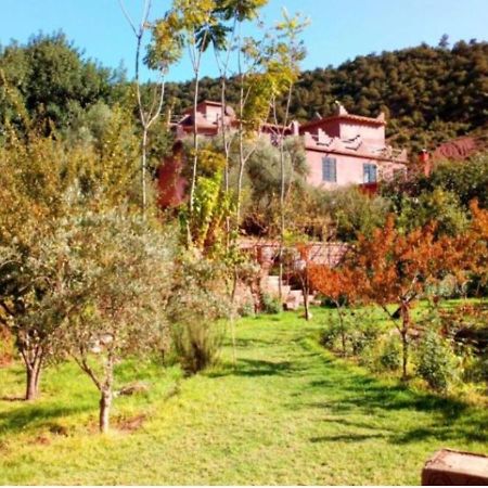 Ourika Timalizene Le Jardin Des Delices Hotel Tamezindert Exterior foto