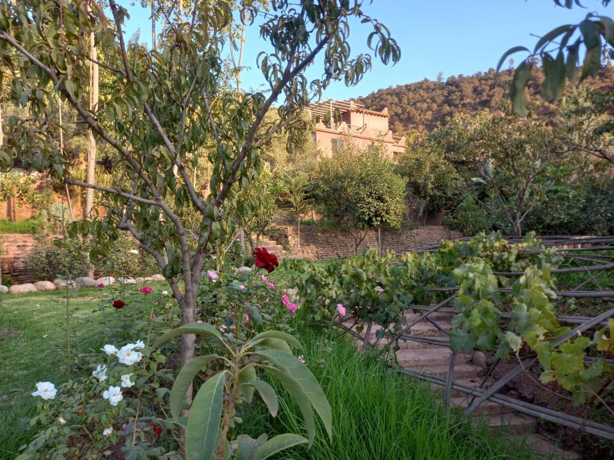 Ourika Timalizene Le Jardin Des Delices Hotel Tamezindert Exterior foto