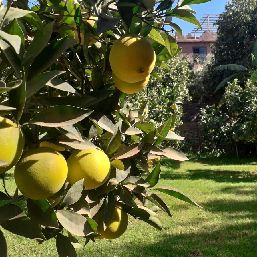 Ourika Timalizene Le Jardin Des Delices Hotel Tamezindert Exterior foto