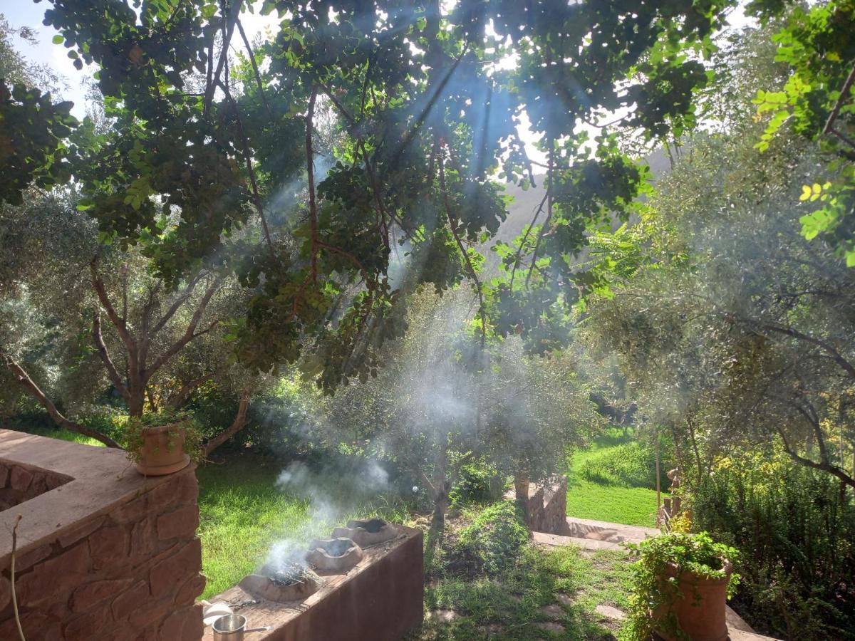 Ourika Timalizene Le Jardin Des Delices Hotel Tamezindert Exterior foto